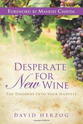 Picture of Desperate For New Wine
