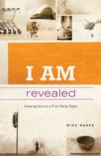 Picture of I Am Revealed