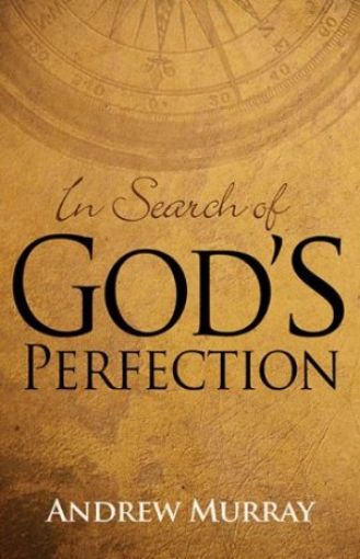 Picture of In Search Of God's Perfection