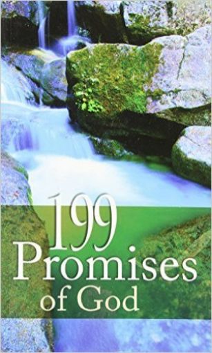 Picture of 199 Promises Of God