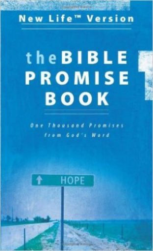 Picture of The Bible Promise Book