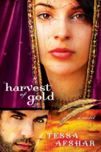 Picture of Harvest Of Gold