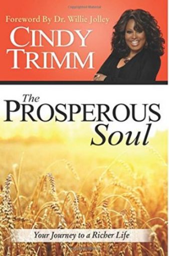 Picture of The Prosperous Soul