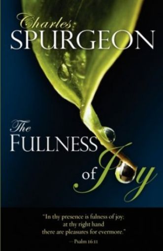 Picture of The Fullness Of Joy