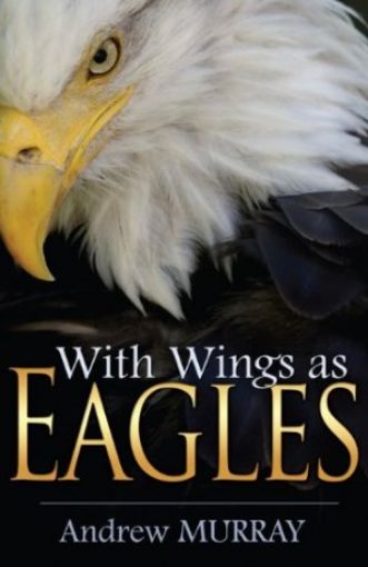 Picture of With Wings As Eagles