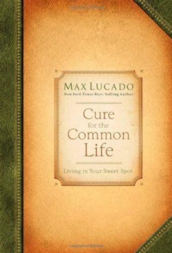 Picture of Cure For The Common Life