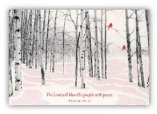 Picture of Card -Boxed-The Lord Will Bless His People