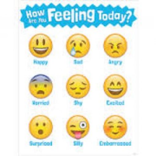 Picture of Emoji Fun Border