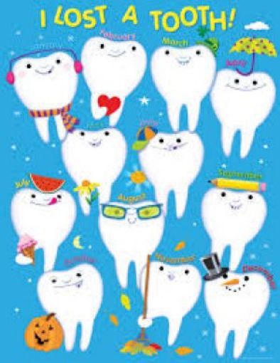 Picture of Chart - I Lost A Tooth