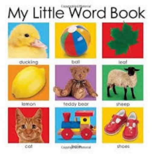 Picture of My Little Word Book
