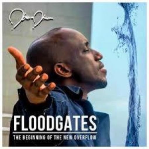 Picture of Floodgates (Cd)