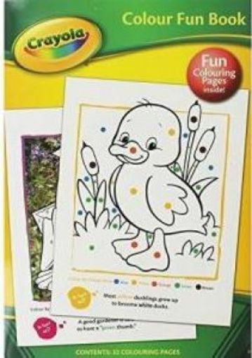 Picture of Colour Fun Book