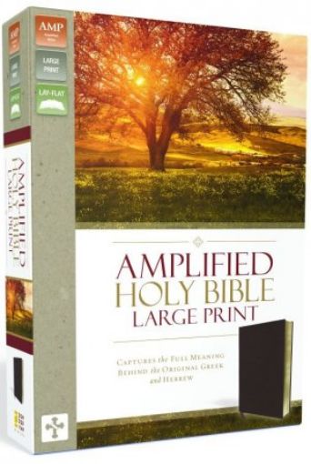 Picture of Amplified Holy Bible, Large Print,