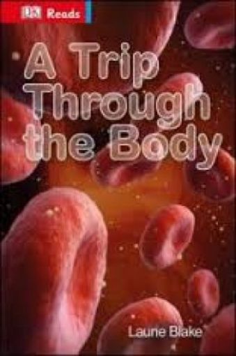 Picture of A Trip Through The Body
