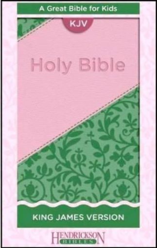Picture of Kids Bible-Kjv