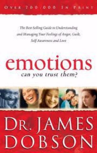 Picture of Emotions: Can You Trust Them?
