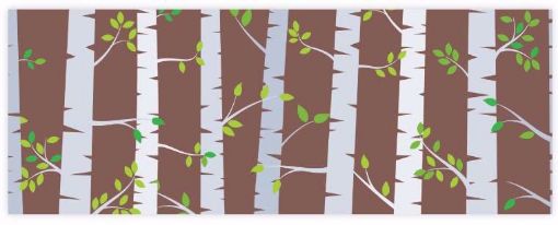 Picture of Woodland Friends Birch Trees Border
