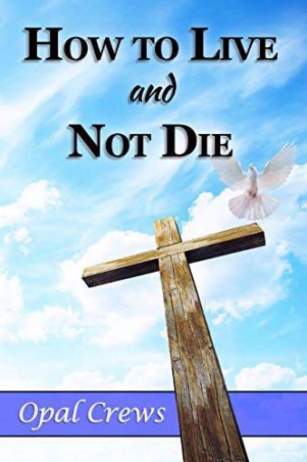 Picture of How To Live And Not Die