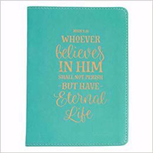Picture of John 3:16