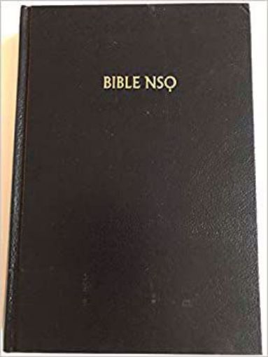 Picture of Igbo/English Bible