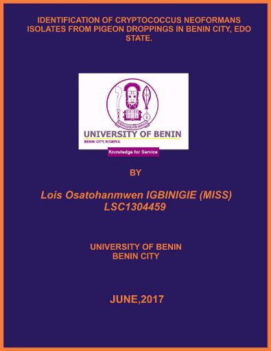 Picture of IDENTIFICATION OF CRYPTOCOCCUS NEOFORMANS ISOLATES FROM PIGEON DROPPINGS IN BENIN CITY, EDO STATE.