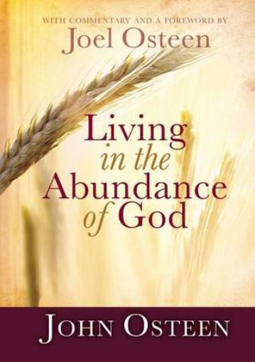 Picture of Living In The Abundance Of God