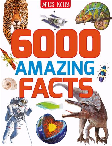 Picture of 6000 AMAZING FACTS