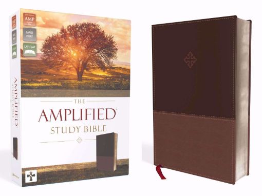 Picture of THE AMPLIFIED STUDY BIBLE