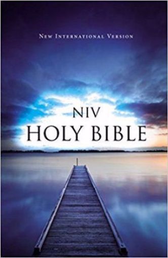 Picture of NIV Holy Bible - Outreach