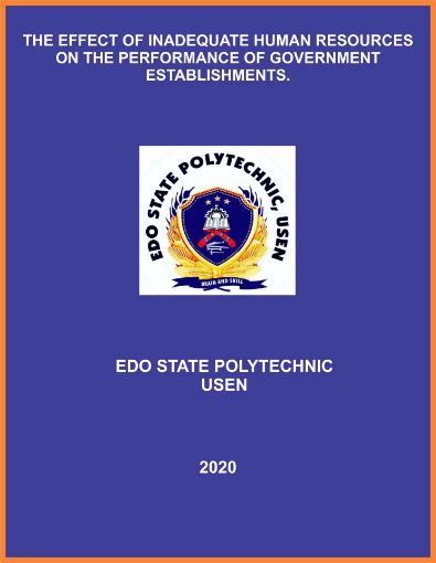 Picture of THE EFFECT OF INADEQUATE HUMAN RESOURCES ON THE PERFORMANCE OF GOVERNMENT ESTABLISHMENTS.