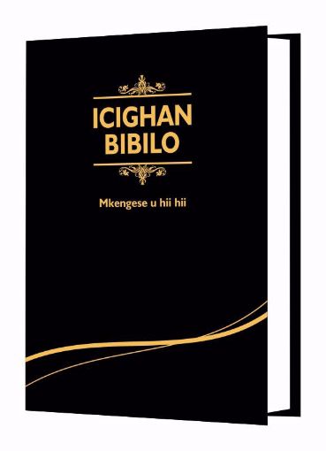 Picture of TIV 63 BIBLE REVISED