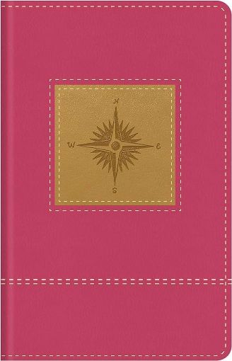 Picture of KJV Study Bible (Primrose Compass) Imitation Leather