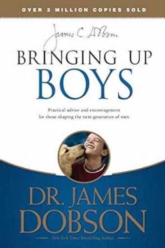 Picture of Bringing Up Boys