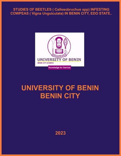 Picture of STUDIES OF BEETLES ( Callosobruchus spp) INFESTING COWPEAS ( Vigna Unguiculata) IN BENIN CITY, EDO STATE