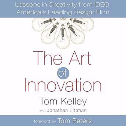 Picture of The Art of Innovation