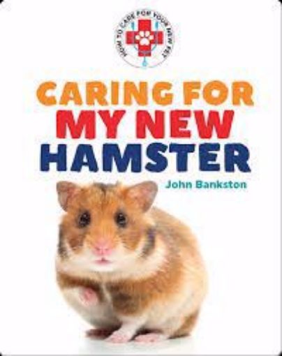 Picture of Caring For New Pet Hamster
